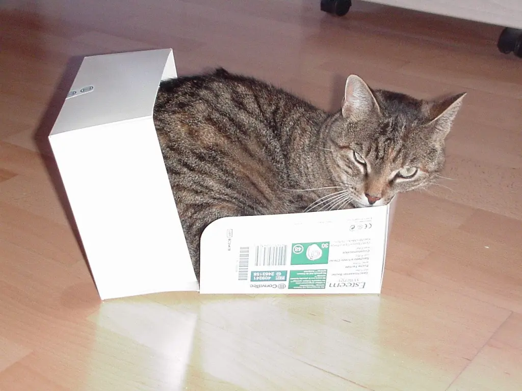 Condolence image of Christie mit Elisabeth