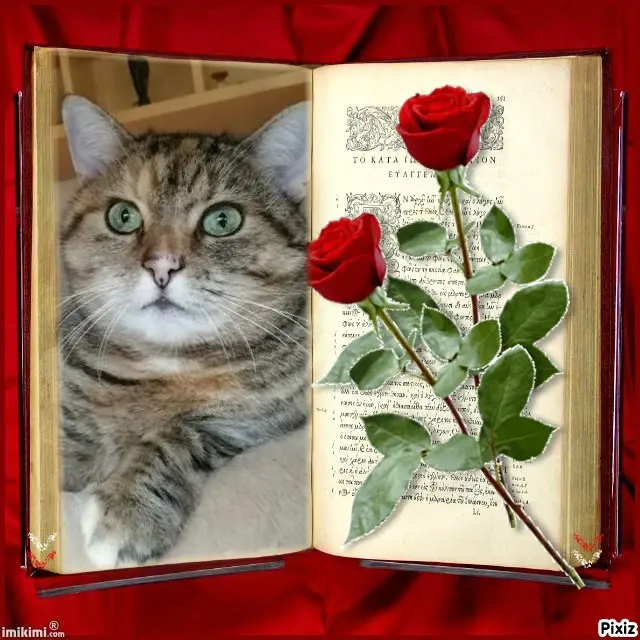 Condolence image of Tanja mit Timmy im Herzen