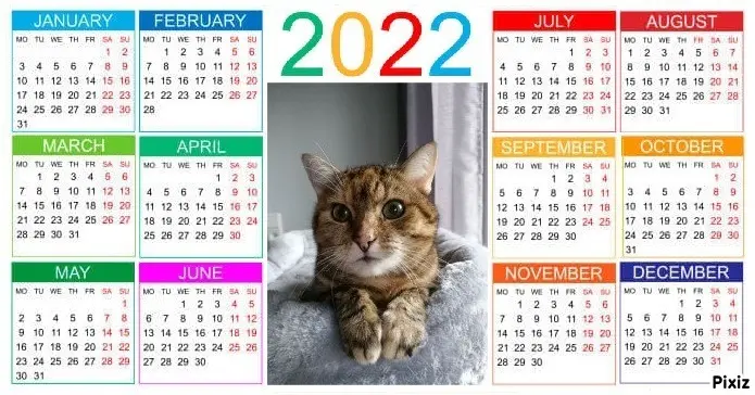 Condolence image of Patricia mit Bunny