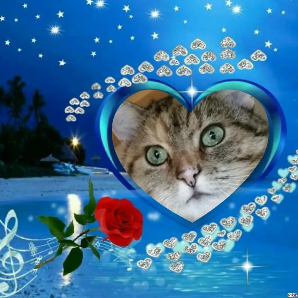 Condolence image of Tanja mit Timmy im Herzen