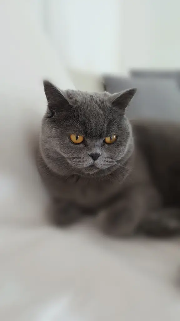 Condolence image of Sonja mit Emma im ❤️