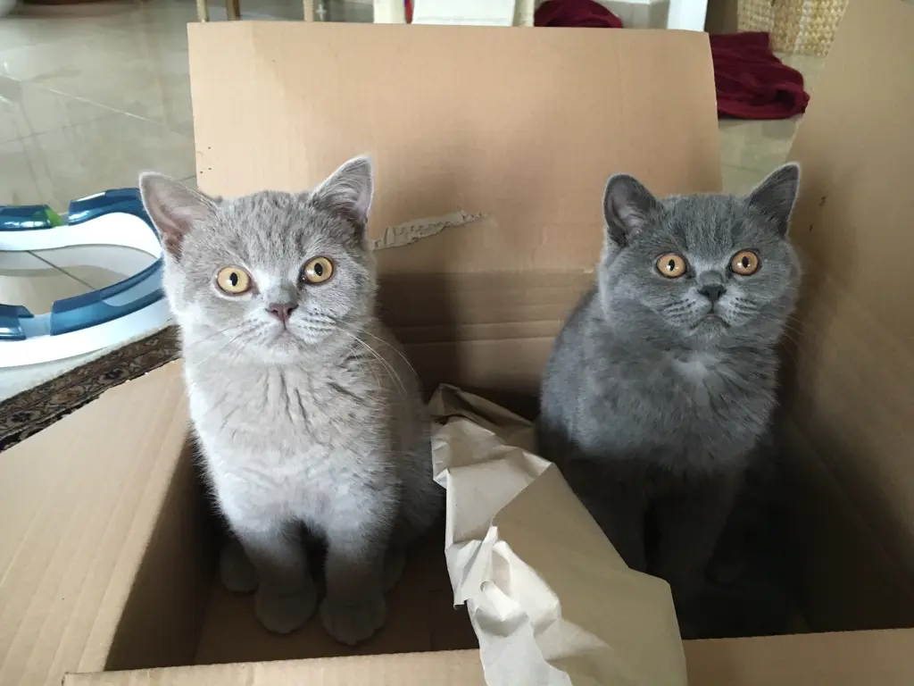 Condolence image of ❤️❤️❤️ für Pauline von Freddy und Sonja