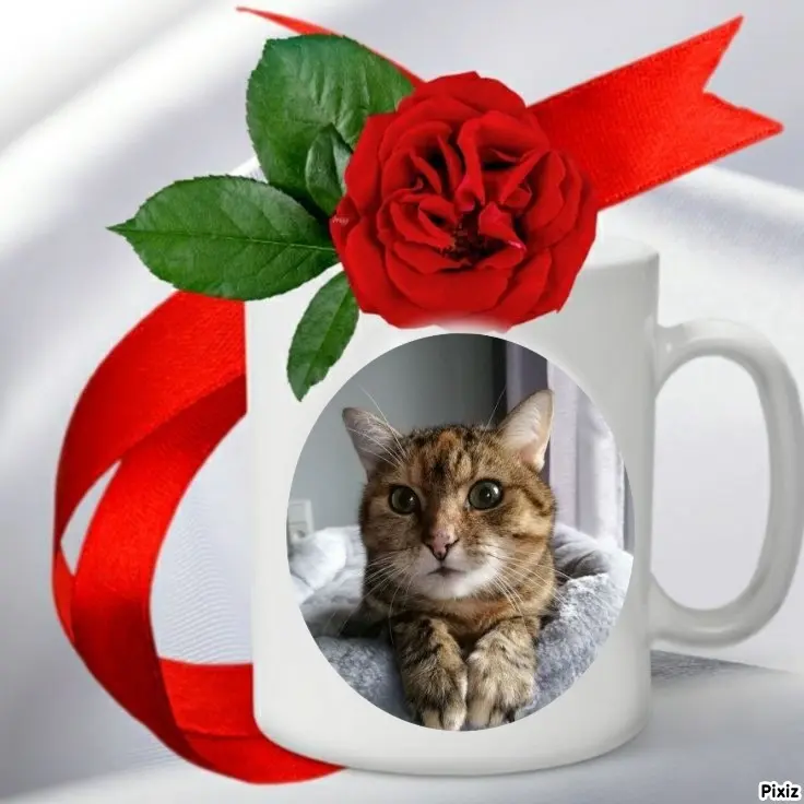 Condolence image of Patricia mit Bunny 