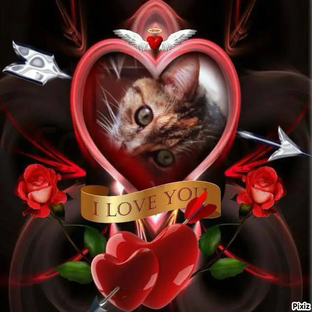 Condolence image of Für das Engelchen Paulinchen ❤️