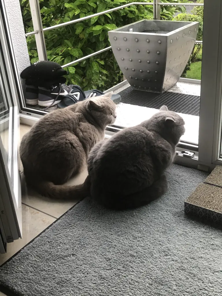 Condolence image of An Pauline und Mama Daniela mit Leonie