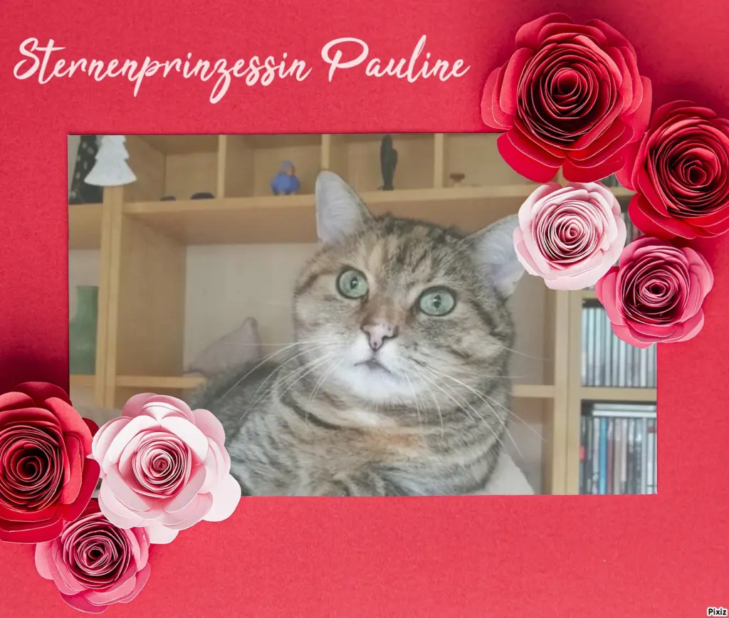 Condolence image of Tanja mit Timmy im Herzen 