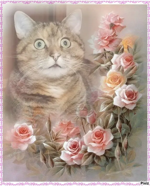 Condolence image of Patricia mit Bunny 