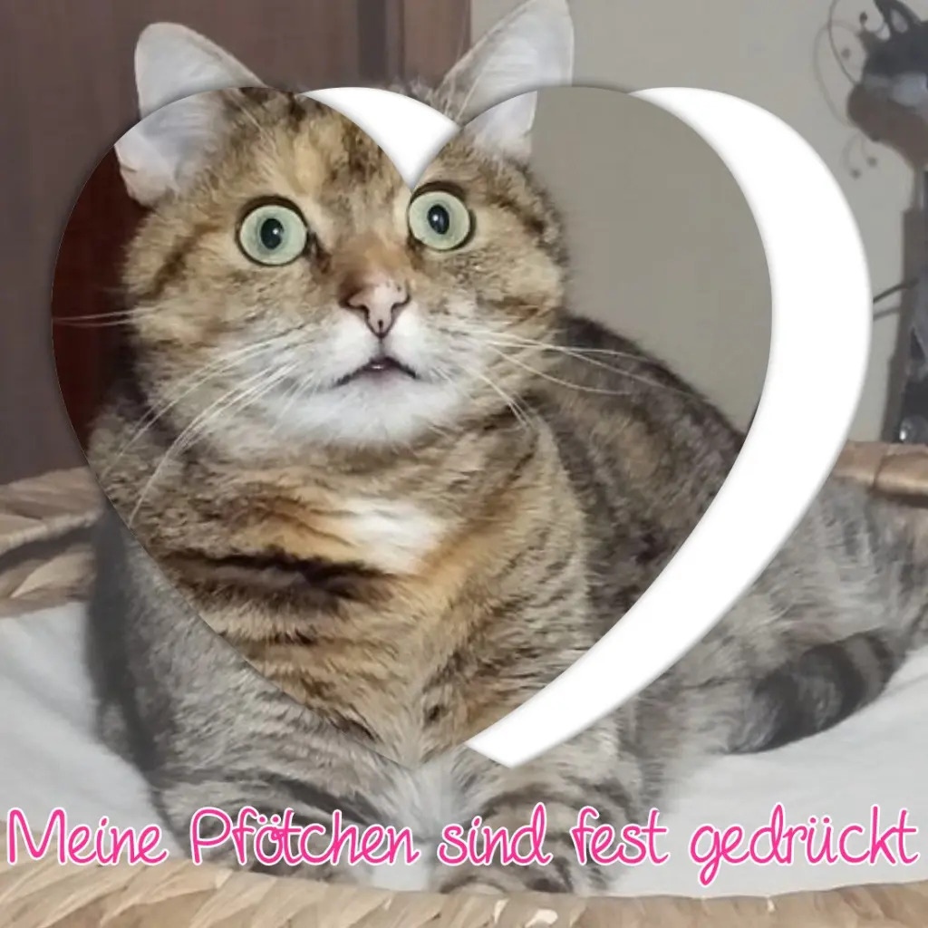 Condolence image of Patricia mit Bunny 