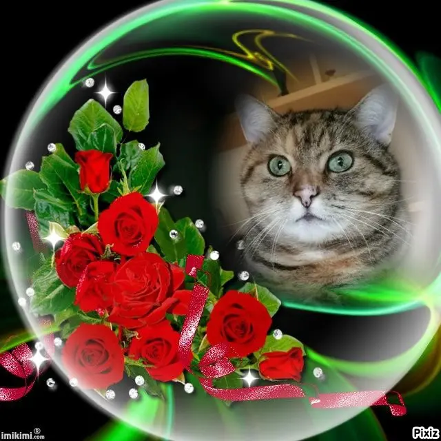 Condolence image of Tanja mit Timmy im Herzen 