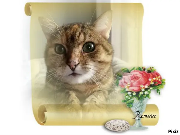 Condolence image of Patricia mit Bunny 