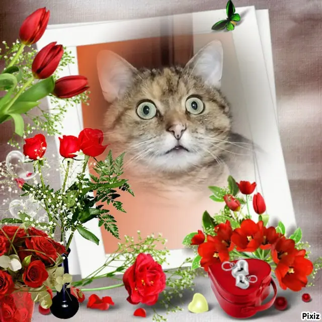 Condolence image of Patricia mit Bunny 