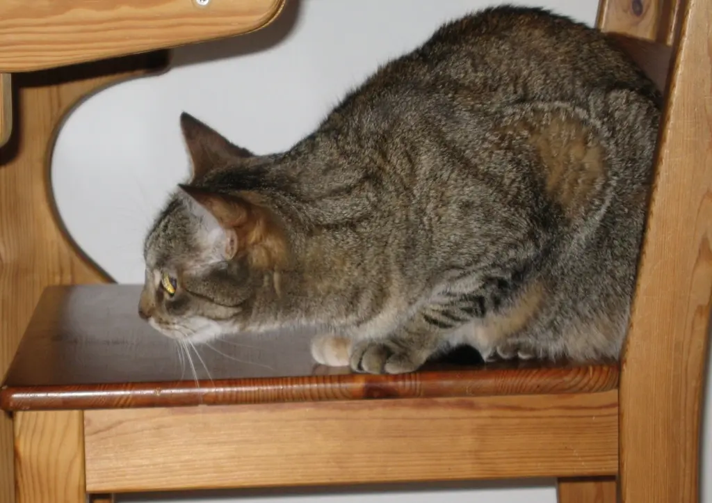 Condolence image of an Pauline und Mama Daniela
