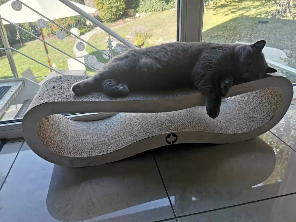 Condolence image of An Pauline und Mama Daniela