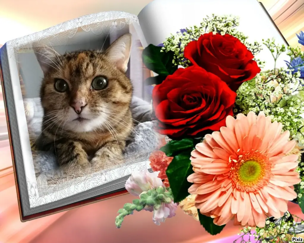 Condolence image of Patricia mit Bunny 