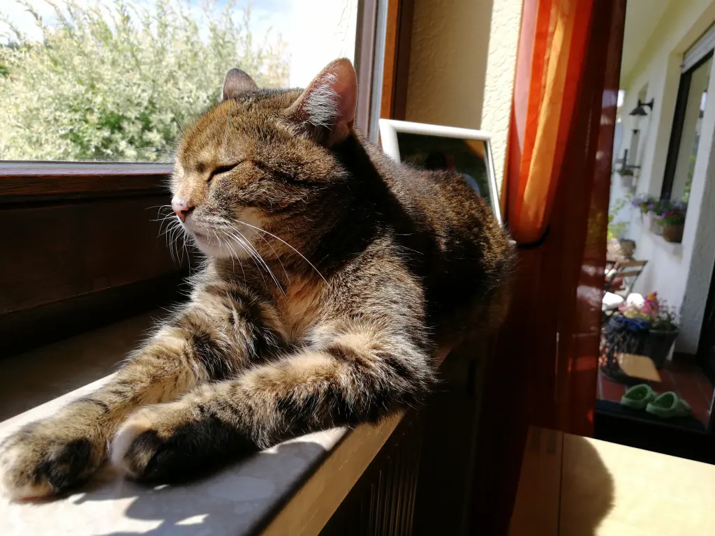 Condolence image of Für Paulinchen ❤️ von deiner Mama Daniela