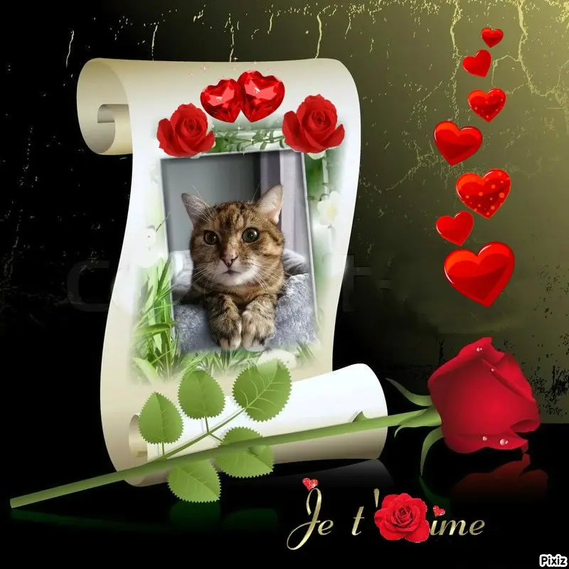 Condolence image of Patricia mit Bunny