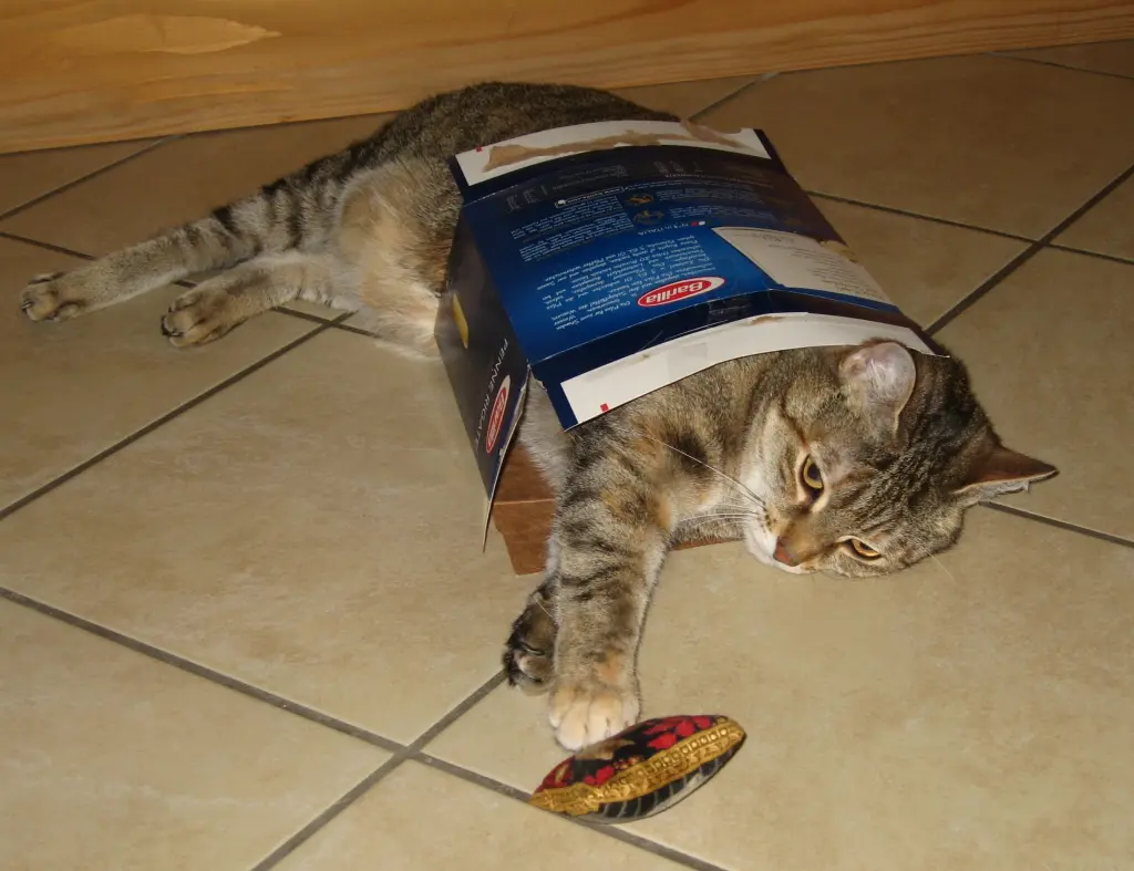 Condolence image of Elisabeth mit Marple im ♥