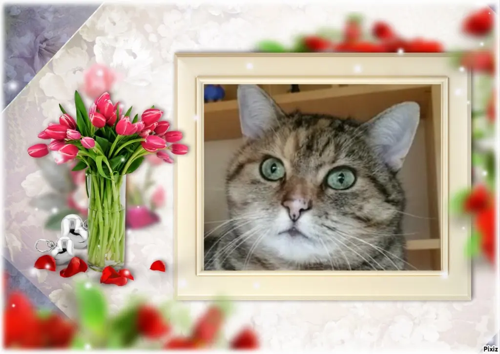 Condolence image of Tanja mit Timmy im Herzen