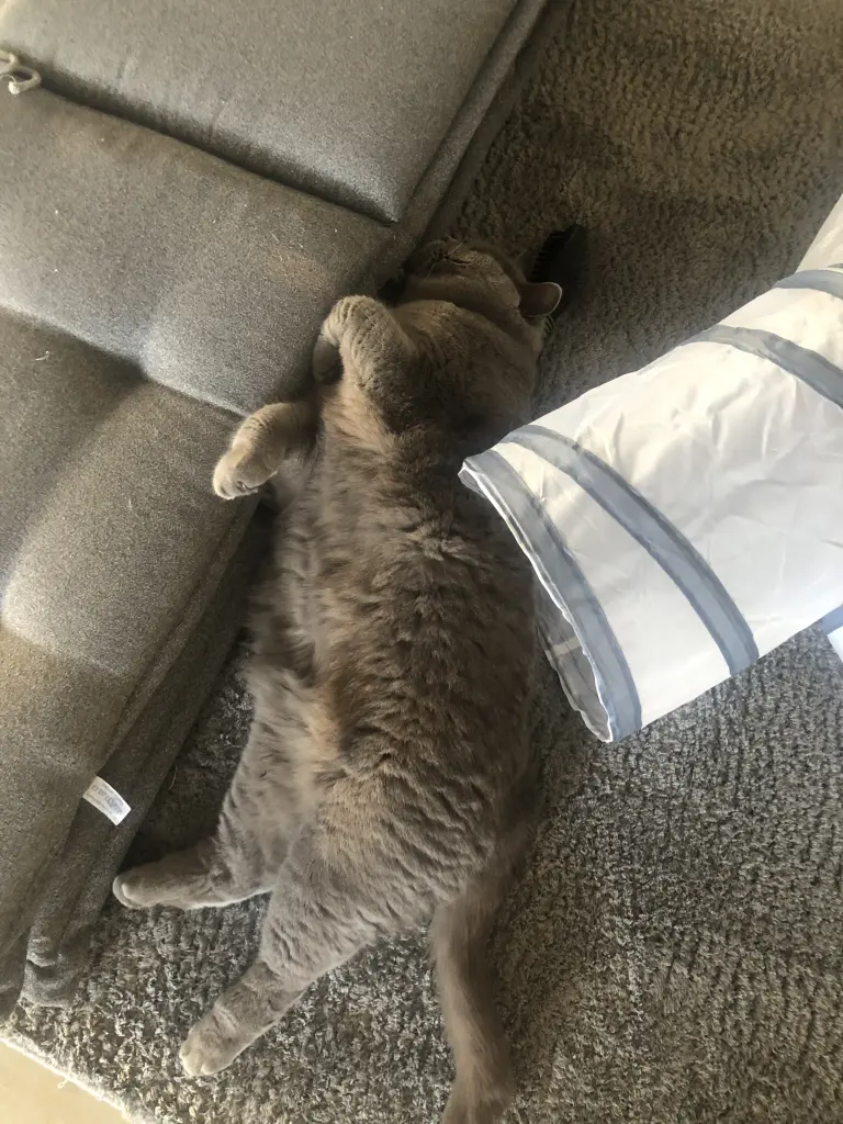 Condolence image of Sonja für Pauline und Mama Daniela❤️