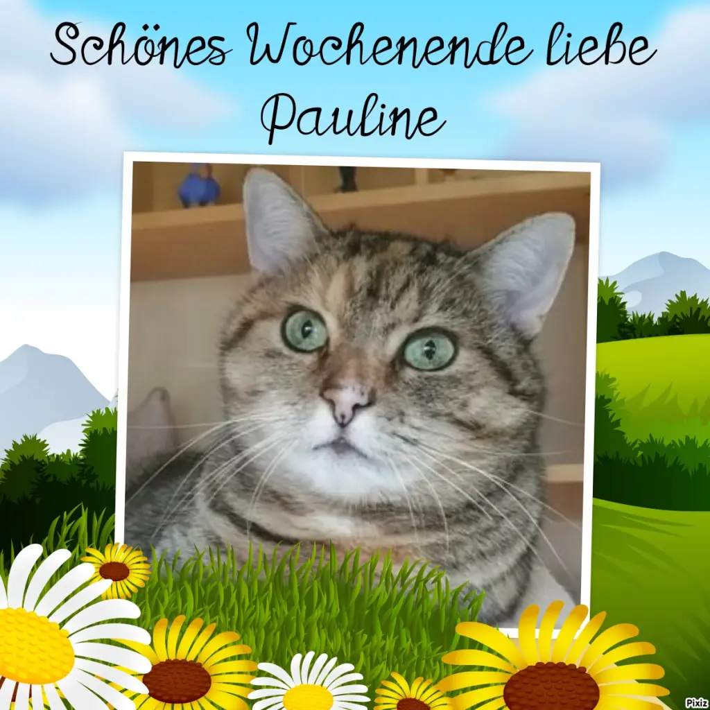 Condolence image of Tanja mit Timmy im Herzen 