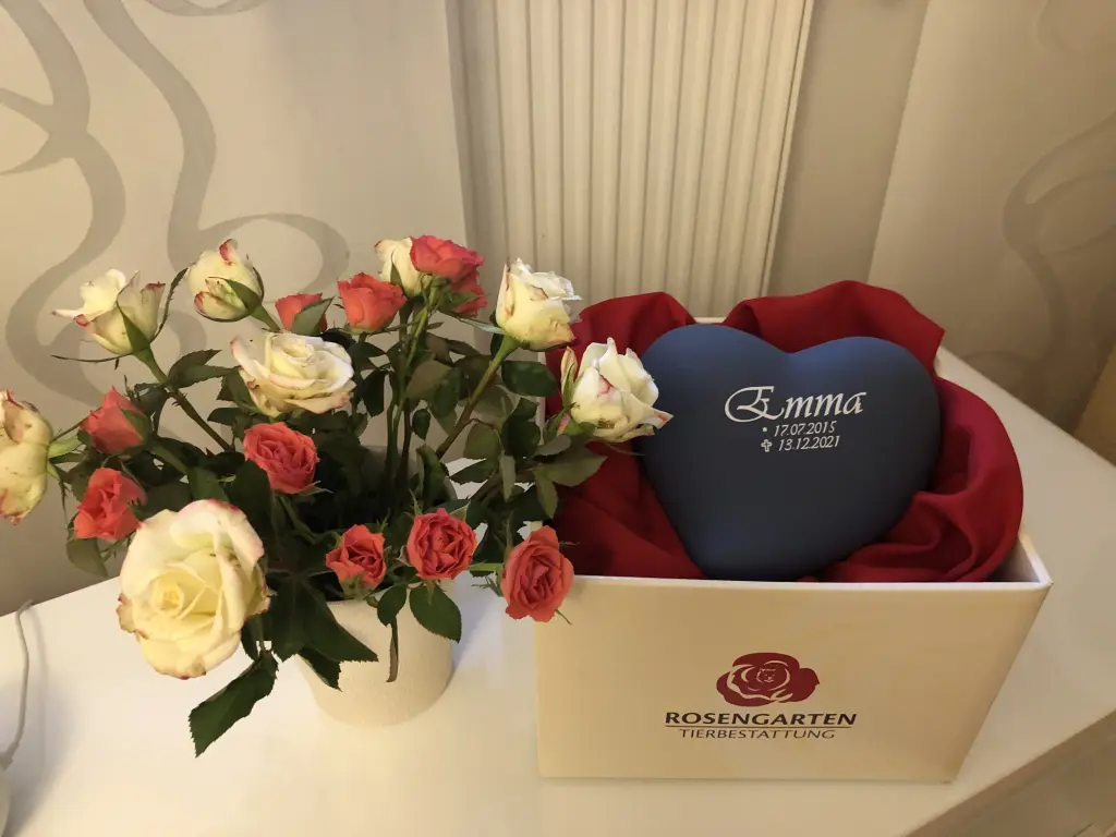 Condolence image of An Mama Daniela❤️