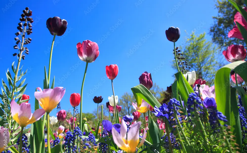 Condolence image of Corinna mit Emma, Pummelchen und anderen Sternlein im ❤️