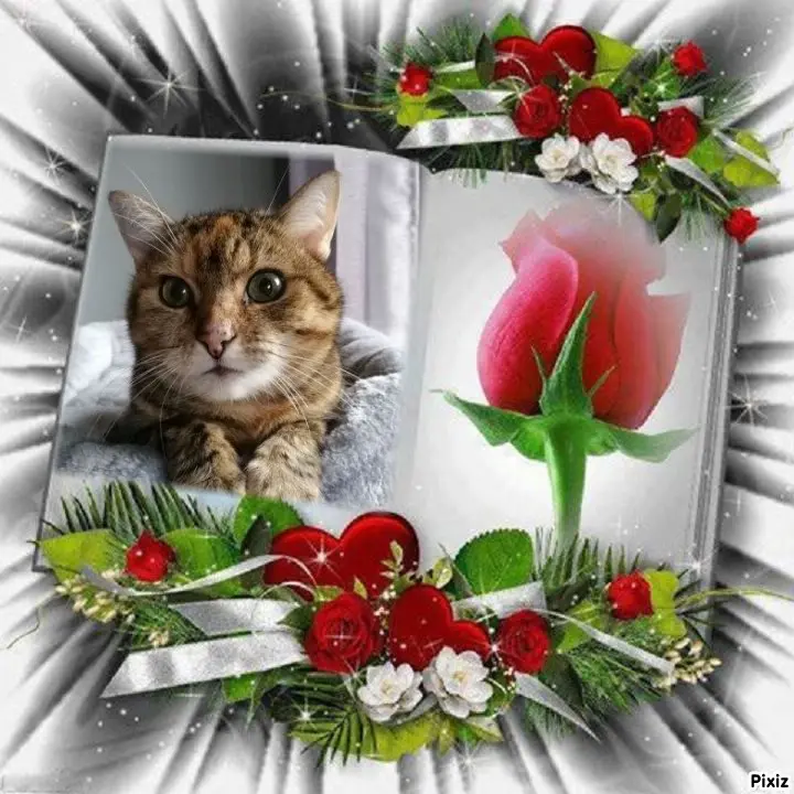 Condolence image of Patricia mit Bunny ❤️ 