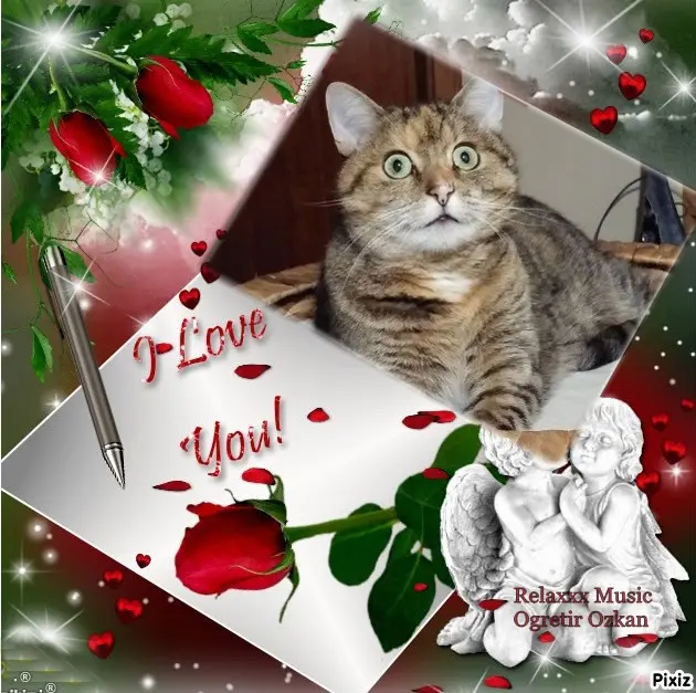 Condolence image of Sternchenpost ⭐️ 