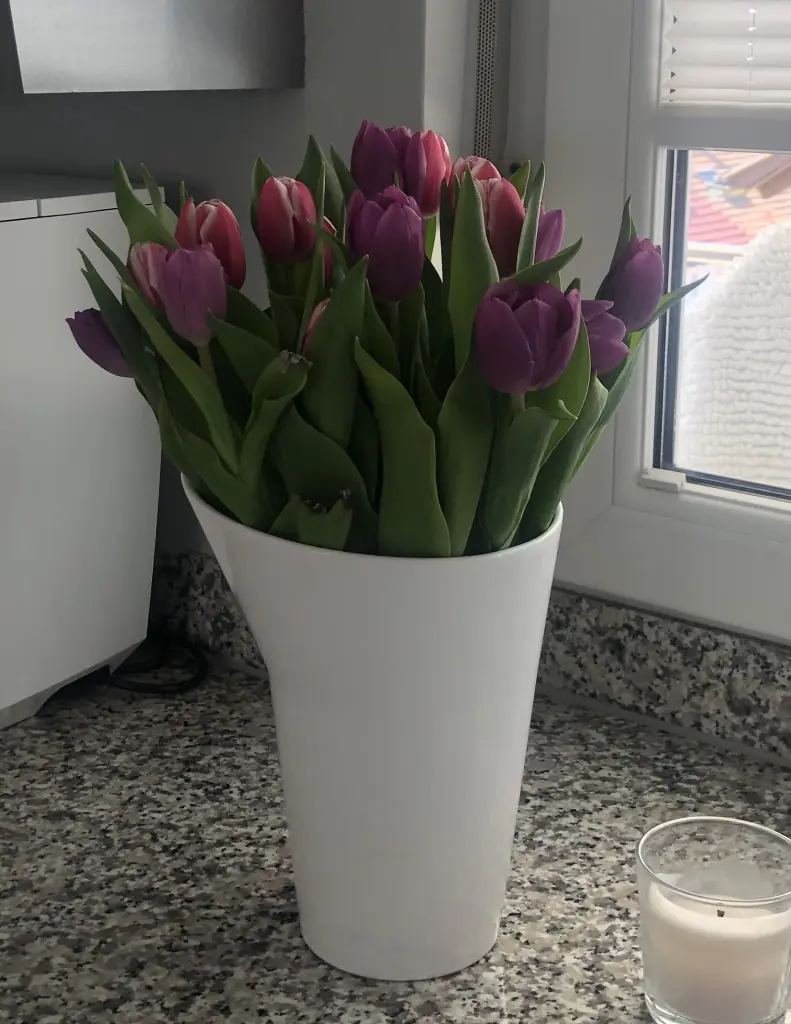 Condolence image of An Pauline und Mama Daniela❤️