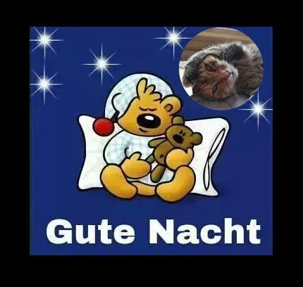 Condolence image of Gute Nacht❤️❤️❤️Mauschen❤️❤️❤️