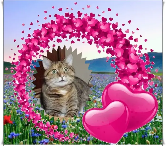 Condolence image of Gute❤️❤️❤️Nacht❤️❤️❤️❤️❤️