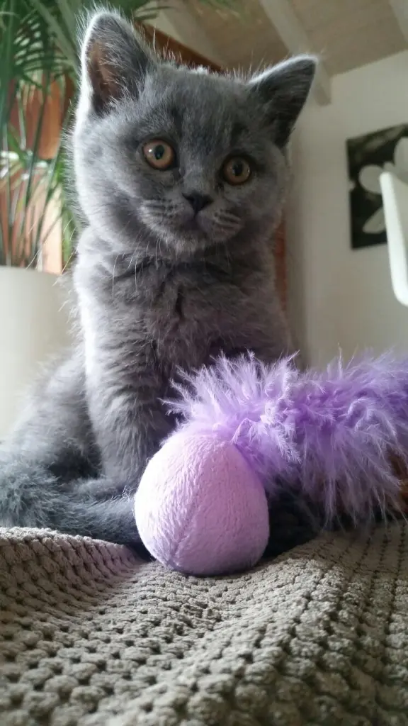 Condolence image of Von Emma an Pauline