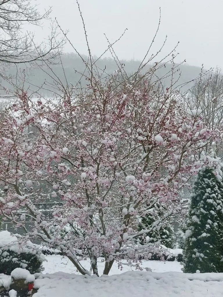 Condolence image of Mama Daniela für mein Engelchen ❤️