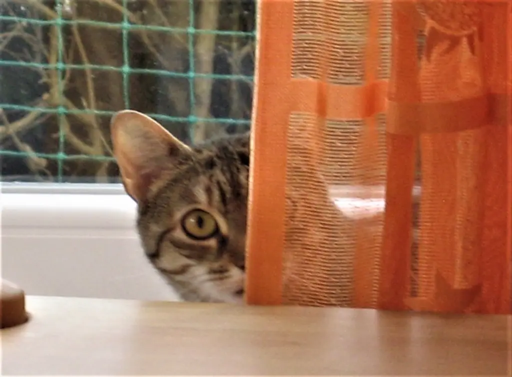 Condolence image of Marple und Elisabeth