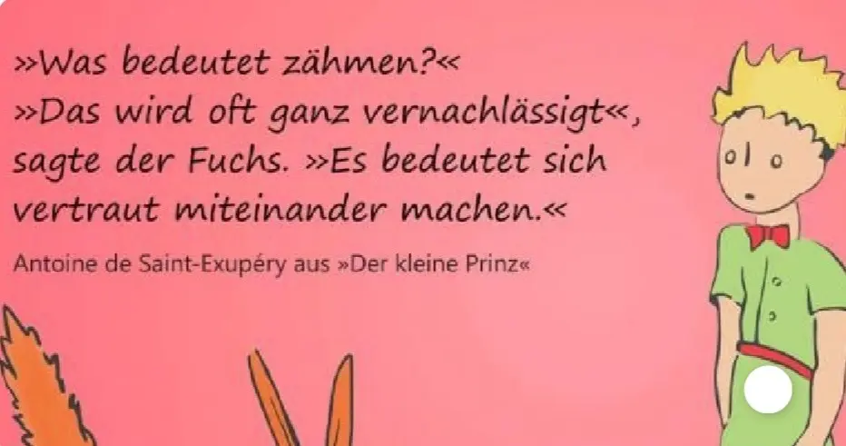 Condolence image of Daniela für Paulinchen ❤️