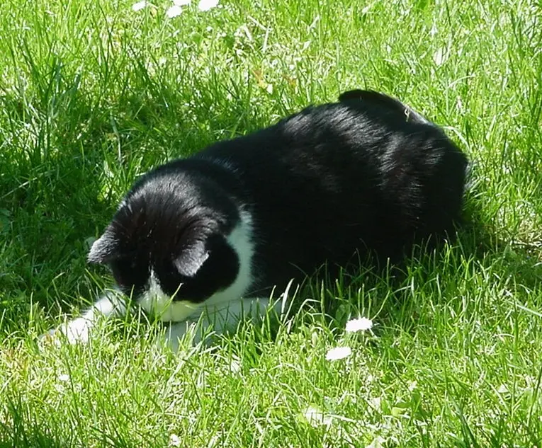 Condolence image of Pauline und Mama Daniela