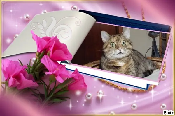 Condolence image of Bunny 