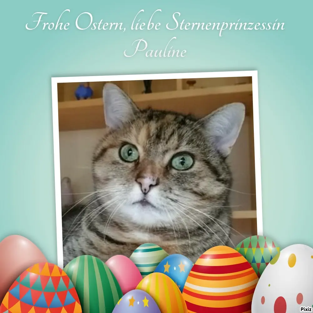 Condolence image of Tanja mit Timmy im Herzen 