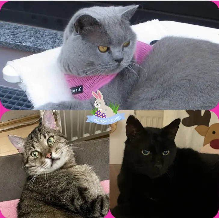 Condolence image of Unbekannt