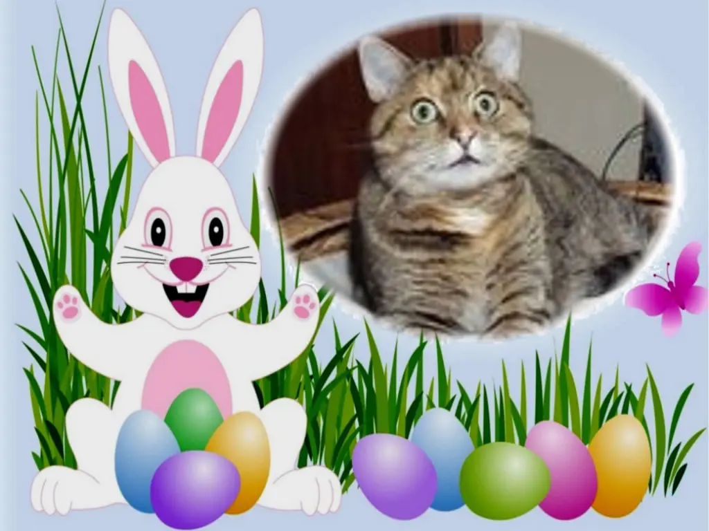 Condolence image of Frohe❤️❤️❤️Ostern❤️