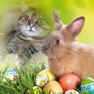 Condolence image of Frohe❤️❤️❤️Ostern❤️