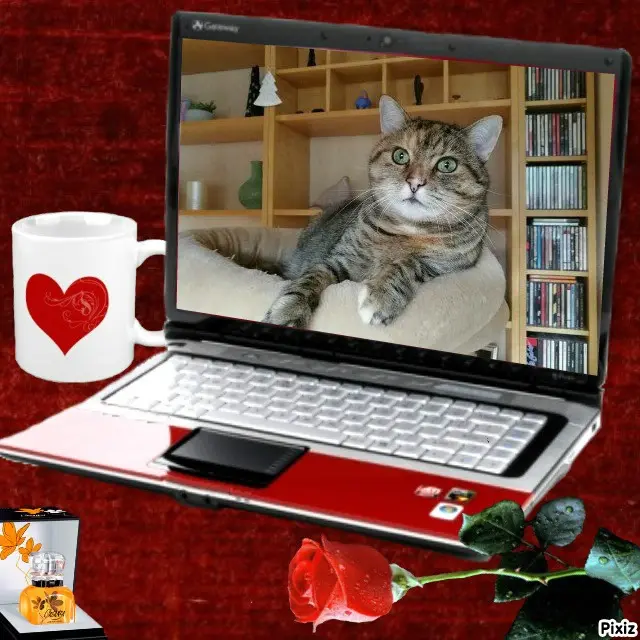 Condolence image of Tanja mit Timmy im Herzen 