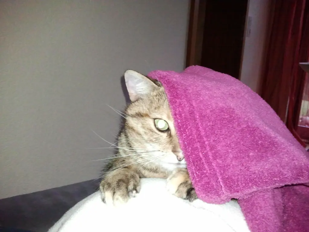 Condolence image of Daniela