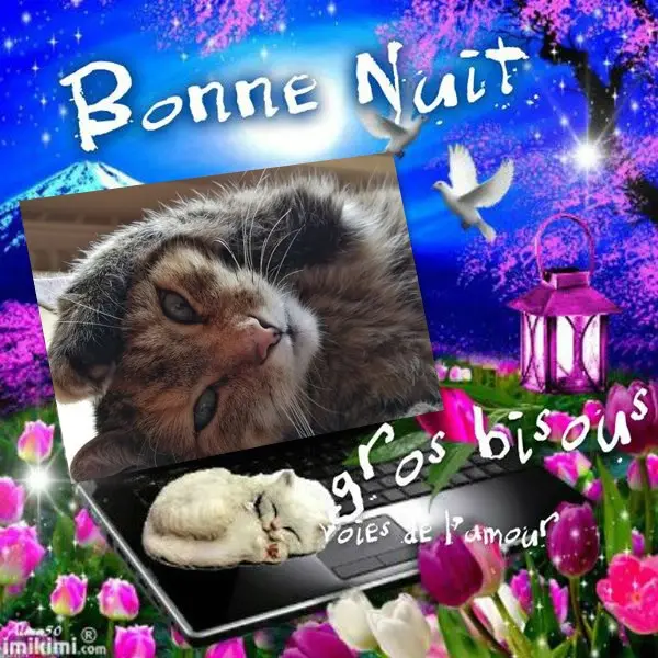 Condolence image of Gute Nacht❤️❤️❤️Mauschen❤️❤️❤️