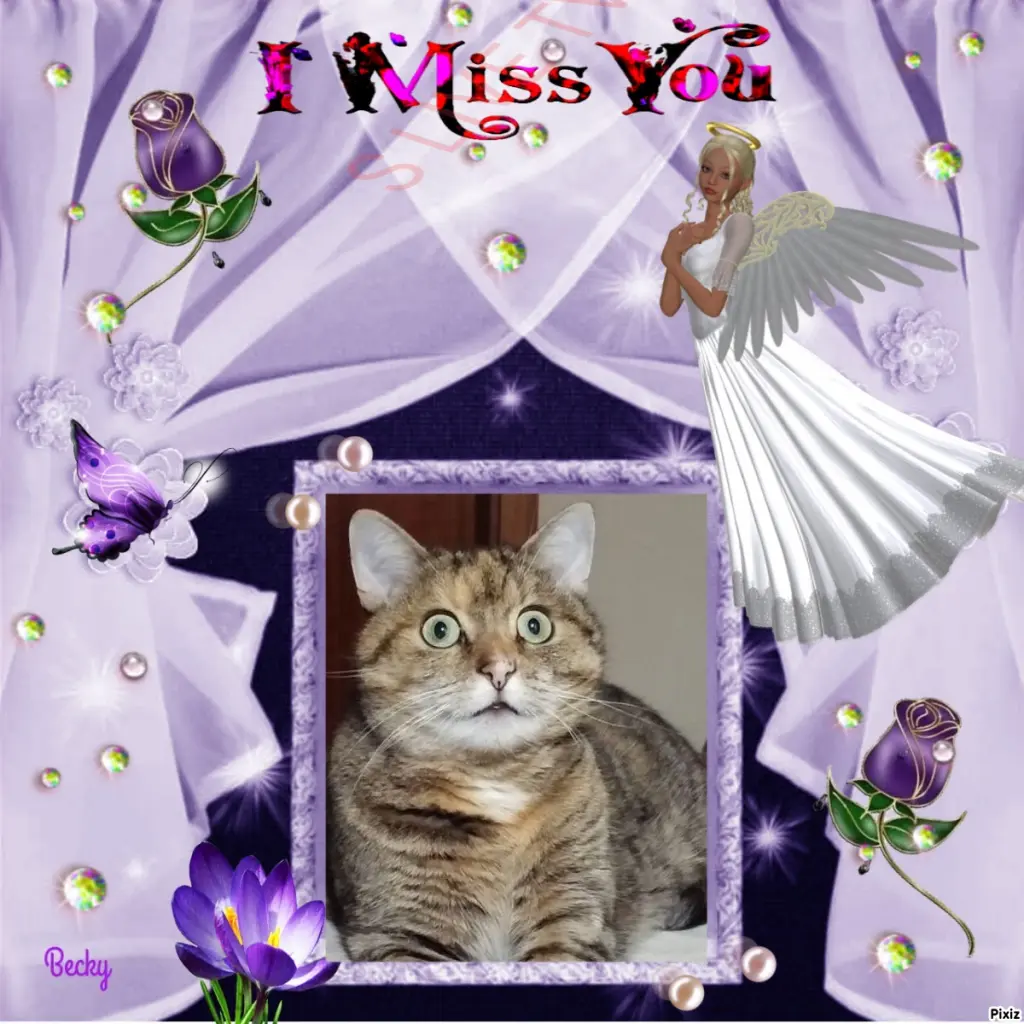 Condolence image of Patricia mit Bunny ❤