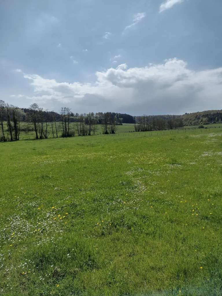 Condolence image of Von Emmchen an Pauline ❤️