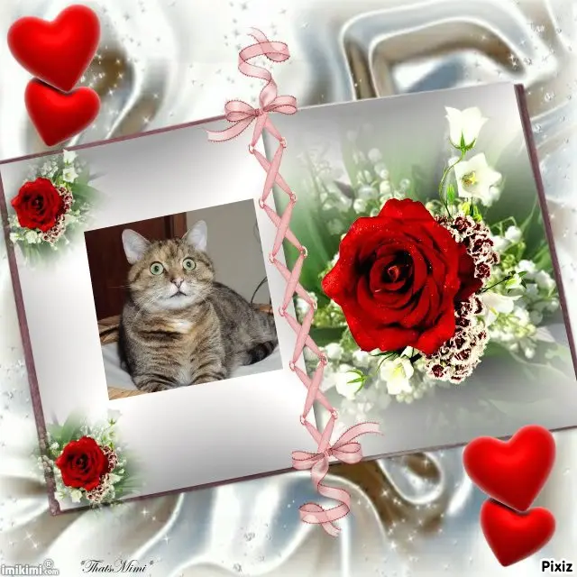 Condolence image of Unbekannt