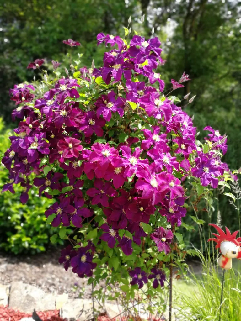 Condolence image of Daniela für ihr Engelchen ❤️