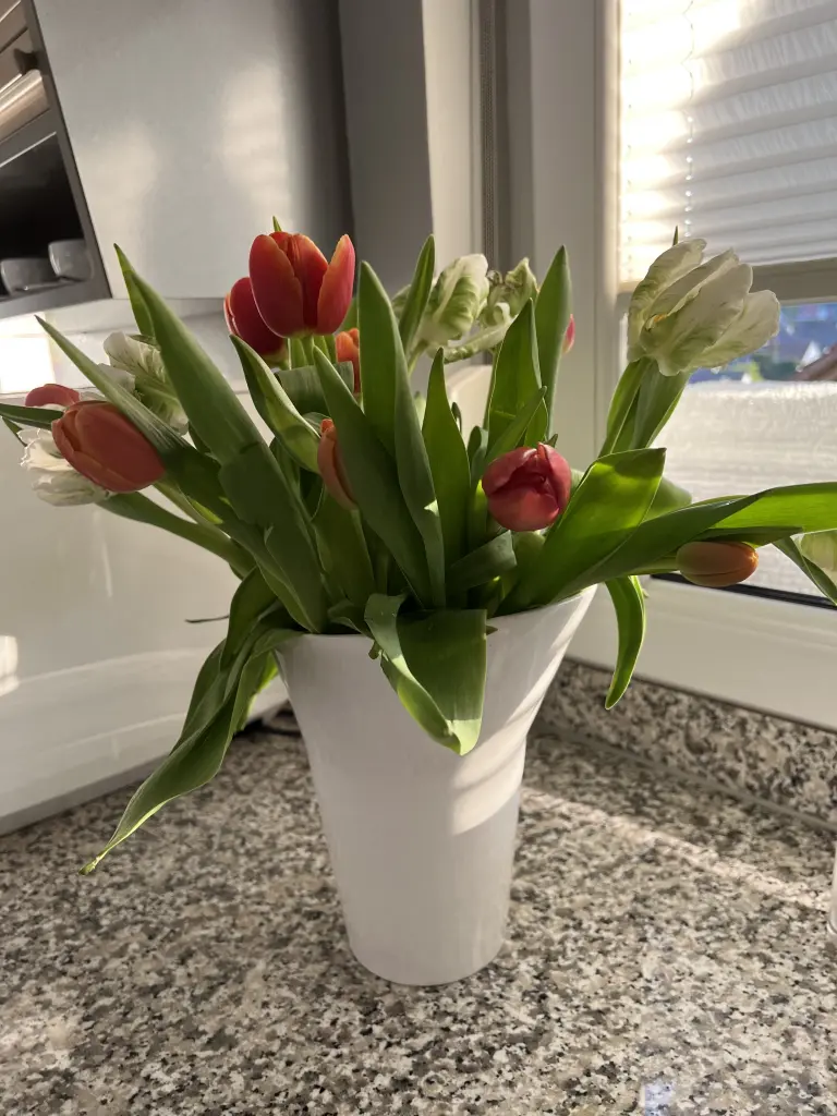 Condolence image of An Pauline und Mama Daniela ❤️