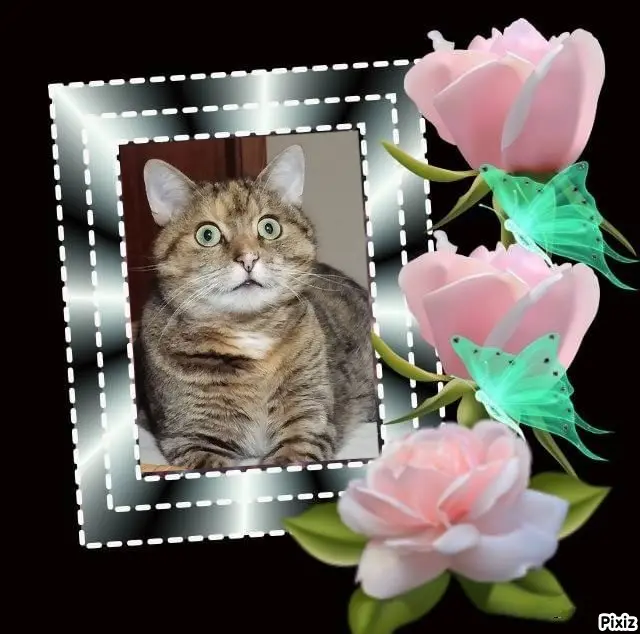 Condolence image of Patricia mit Bunny ❤